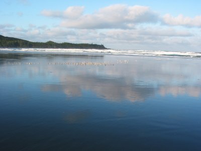 IMG_3633 copy.jpg