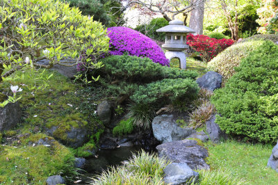 SF Tea Garden025 copy.jpg