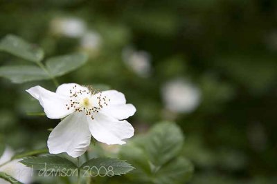 Norfolk, UK