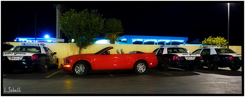 LS1D5596.jpg