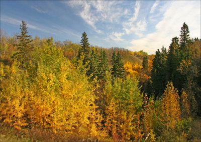 Along a Country Road