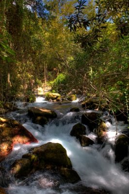 082-Banias Waterfall.JPG