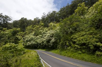 Road to Hana