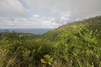 Road to Hana