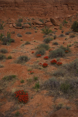 Arches National Park
