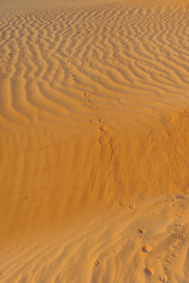 MonumentValley-042.jpg