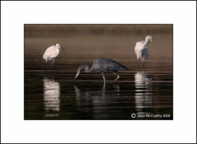 _MG_9975-small-A.jpg