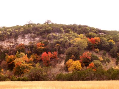 11-3-08Z6 Texas Hillcountry 13.jpg