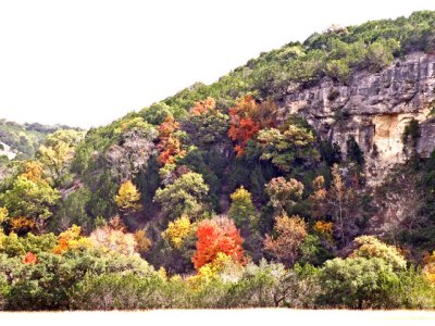 11-3-08Z6 Texas Hillcountry 15.jpg