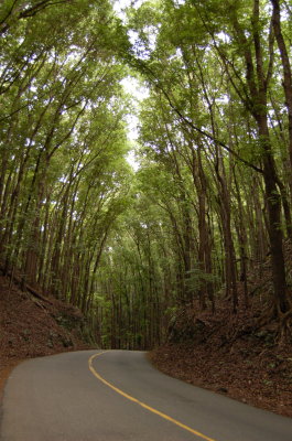 bohol, philippines