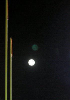 harvest moon over the goal post