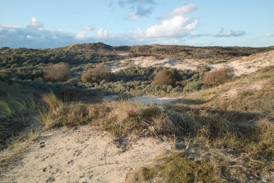 Dune(2)