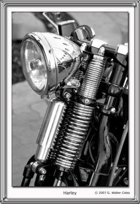 HarleyBW1-08.jpg