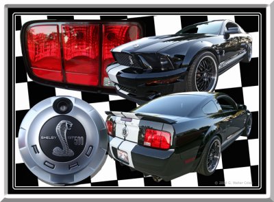Mustang 2000s Shelby Cobra GT 500 Collage.jpg