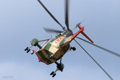 kb07seaking01.jpg