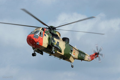 kb07seaking02.jpg