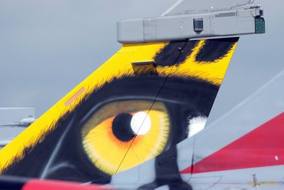 ntm08-oeildutigre.jpg