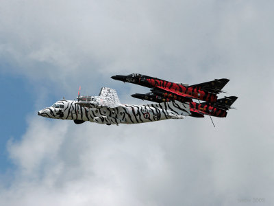 ntm08-pattigres01.jpg