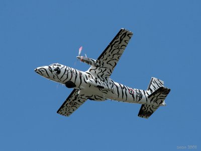 ntm08-N262.jpg
