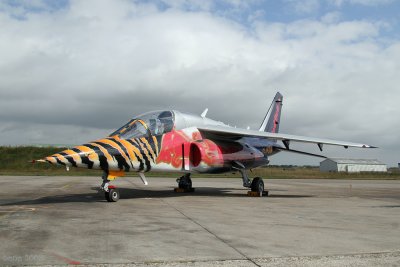 ntm08-ajetredbull.jpg
