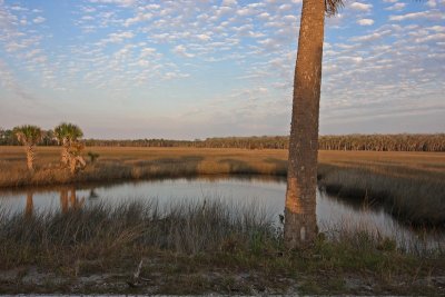 Pine Island 11-18-09