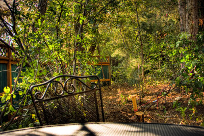 HDR - Inside the fence