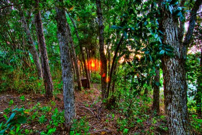 HDR - Fence Repair I