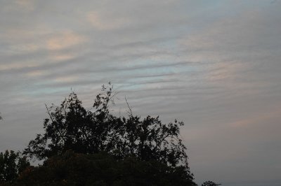 From my window this morning (August 5, 2008)