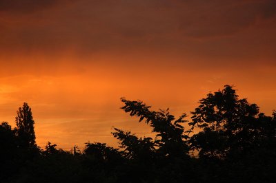 From my window this morning (June 22, 2008)