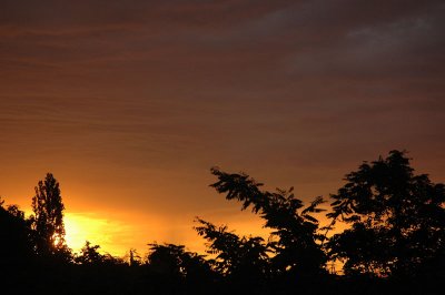 From my window this morning (June 22, 2008)