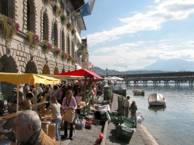 Lucerna