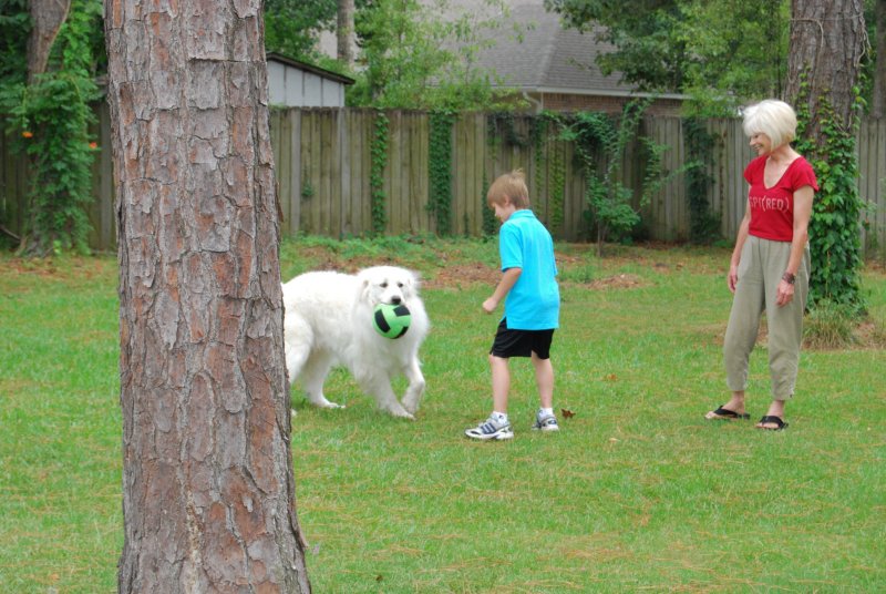 DSC_0155.JPG
