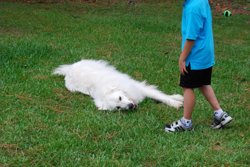 DSC_0169.JPG