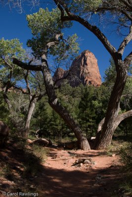 Taylor Creek Trail in Kolob Canyon - West side of Zion National Park