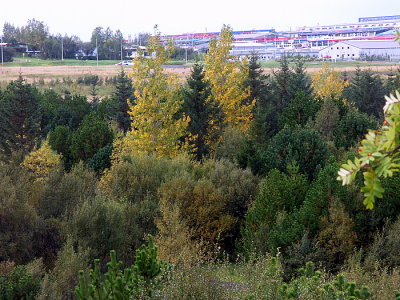 Í Elliðaárdal
