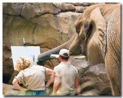 Wildlife 8