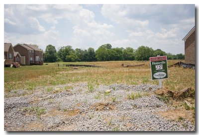 Lot 234 and view of the meadow and wood