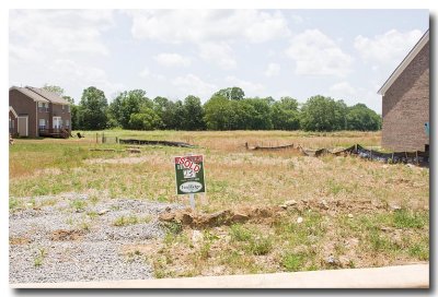 Lot 234