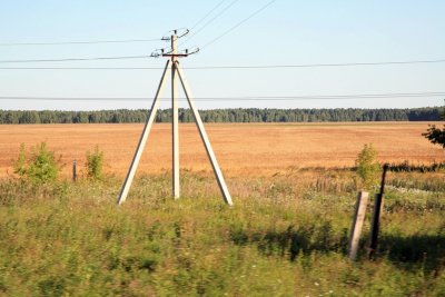 Forest Steppe