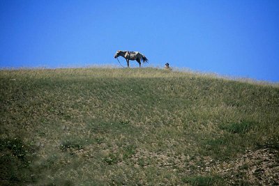 From Mongolia to Russia