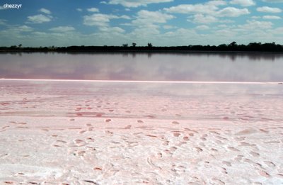 0010-pink-lake