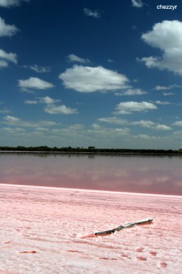 0019-pink-lake