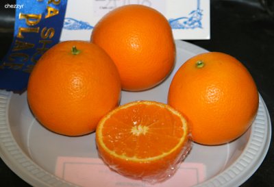 0215- oranges