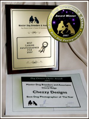 Best Dog Photographer -   MDBA inaugural Dog Owners Choice Awards