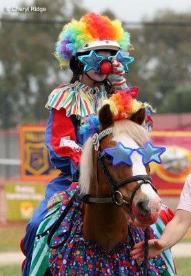 9717-clown-costume.jpg