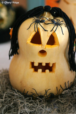 9272-carved-pumpkin.jpg