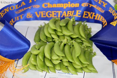 9281-champion-fruit-and-vegetable-exhibit -beans.jpg