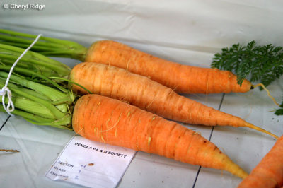 9284-carrots.jpg