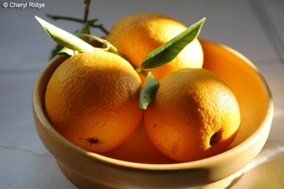 9294-oranges.jpg