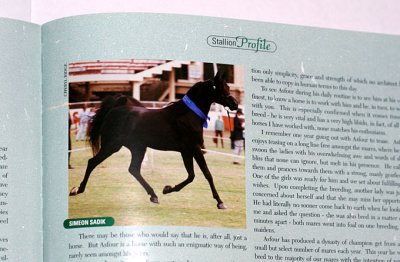 horse magazine - photo of Simeon Sadik